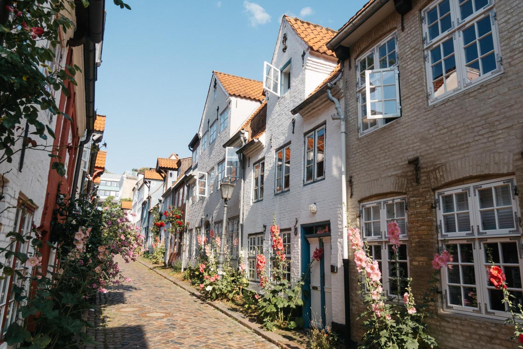 Grosses Apartment Mit 2 Balkonen Zentral Am Nordertor Flensburg Kültér fotó